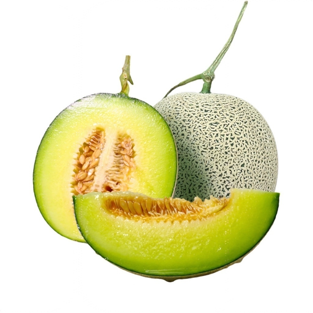 原州区 杨郎情网纹瓜5斤至6斤2只装